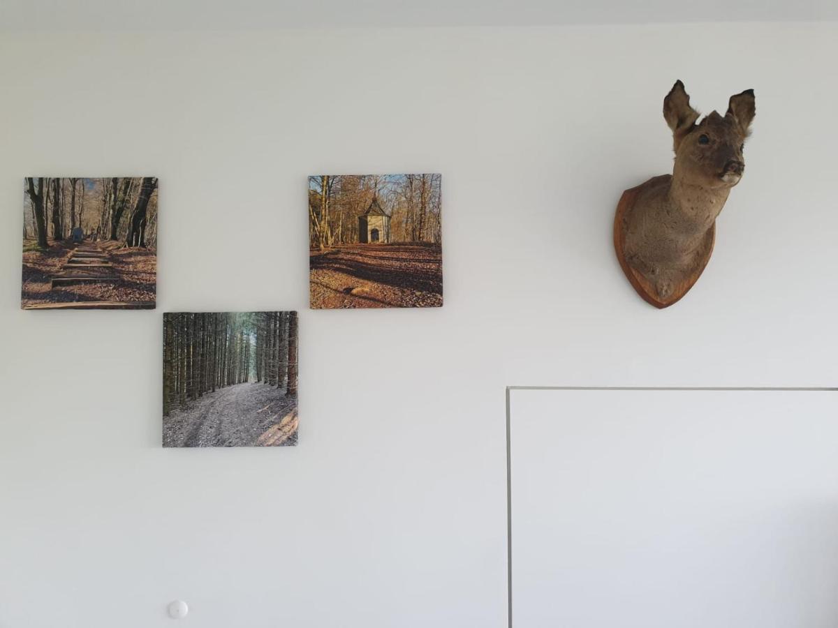 Appartamento Terrasses De Malmedy - Duplex "Happiness" - Pellet & Airco- Esterno foto